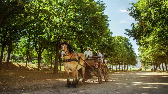 Photographies Office de tourisme du Grand Autunois Morvan (© Aurélie Stapf - photographe)