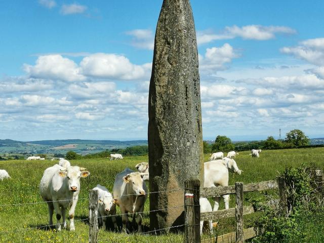 Menhirs d'Epoigny © Celine Champcourt