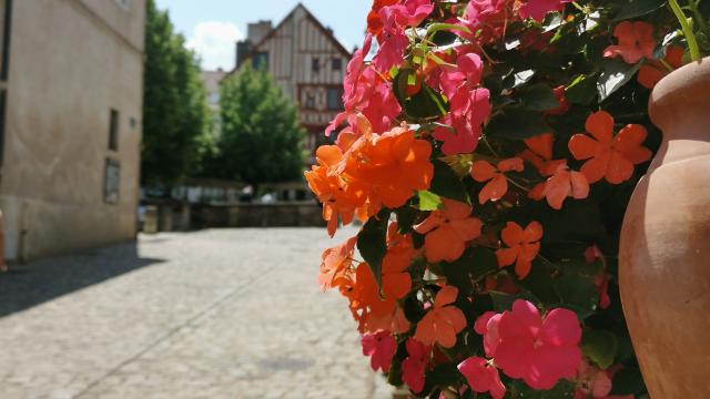 Quartier Medieval ©céline Champcourt (30)