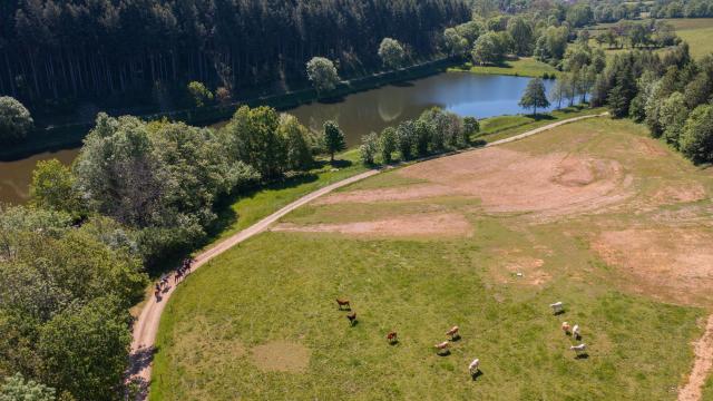 Balade A Cheval Somment Horse Team ©les Coflocs (31)