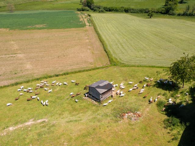 Chevrerie Des Terres Chaudes ©les Coflocs (30)