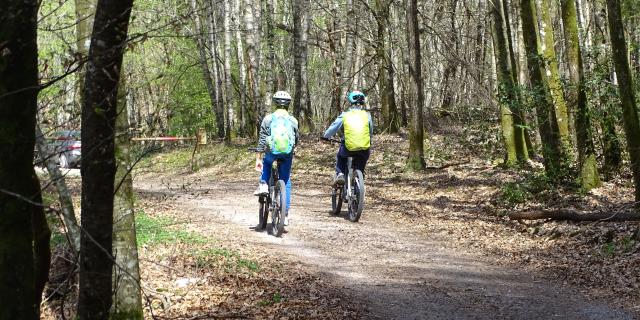 Forêt De Planoise, Antully