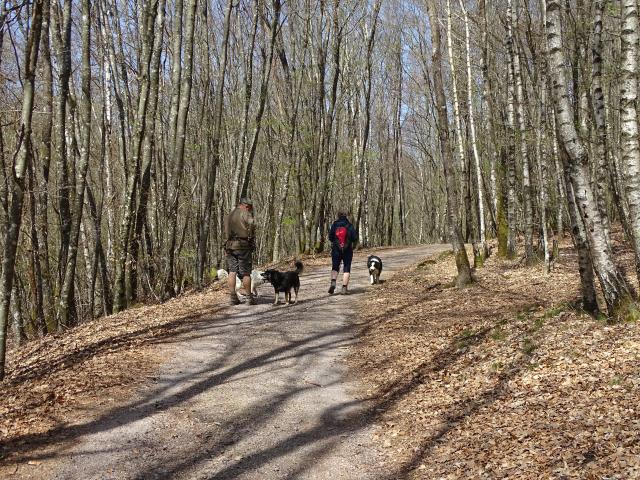 Forêt De Planoise, Antully©clémentine Encrenaz (5)