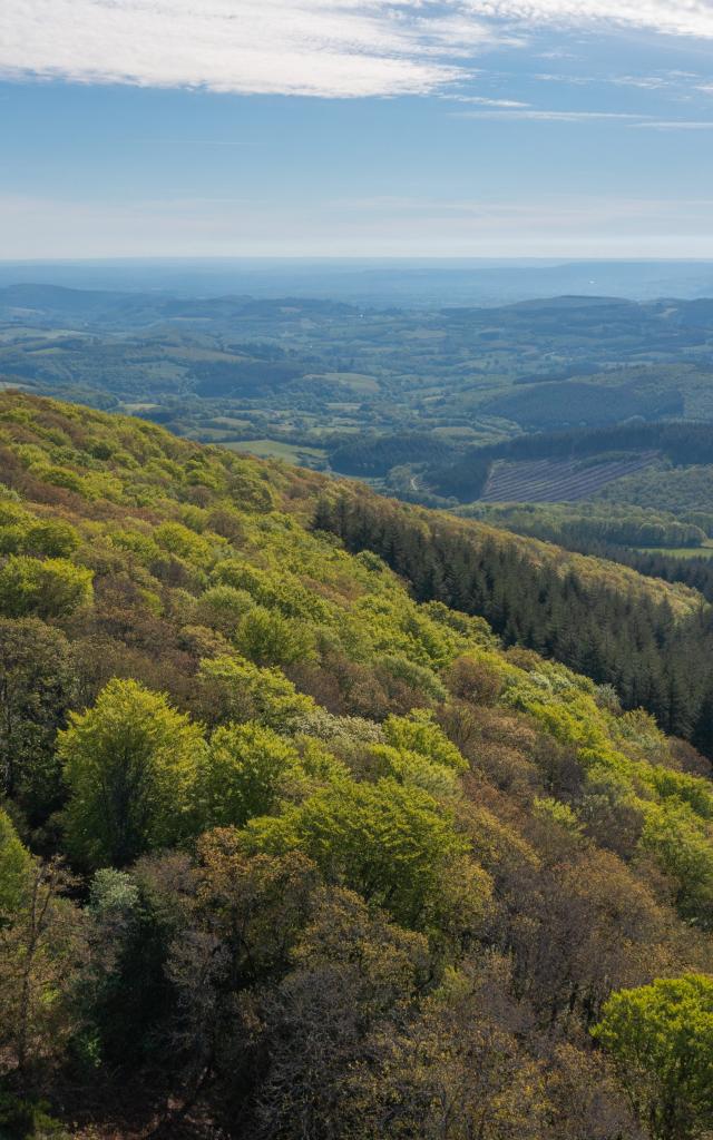 Mount Beuvray Rob Urie