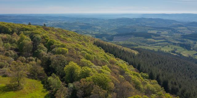 Mount Beuvray Rob Urie