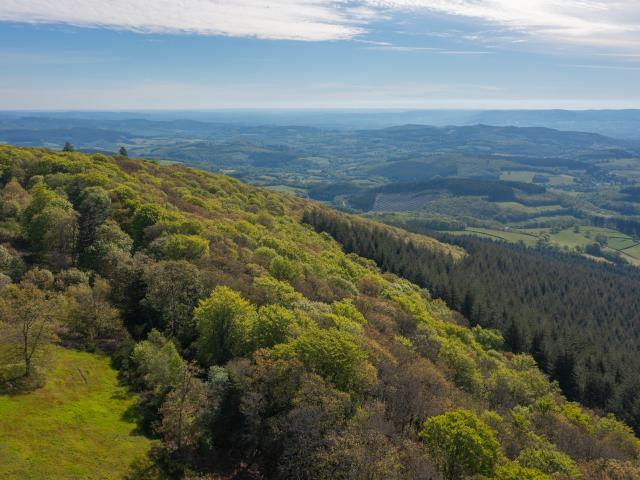 Mount Beuvray Rob Urie