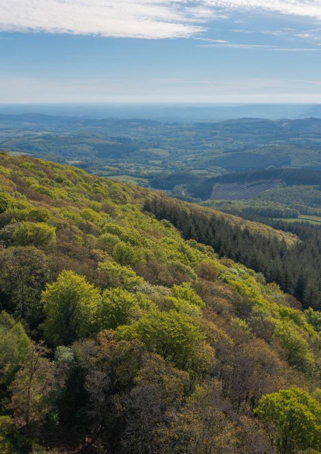 Mount Beuvray Rob Urie