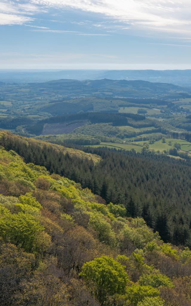 Mont Beuvray - Autunois Morvan