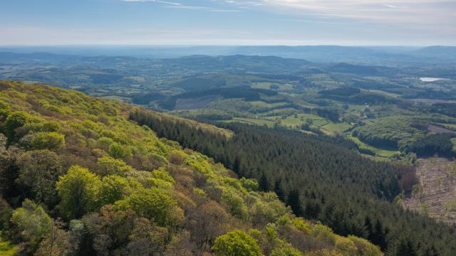 Mont Beuvray - Autunois Morvan