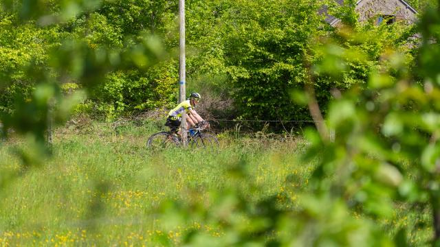 Autun bicycle ©les Coflocs (95)