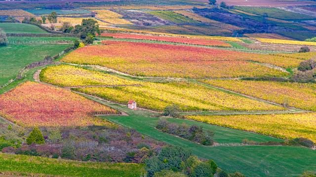 Les Côtes du Couchois en automne - Grand Autunois Tourisme