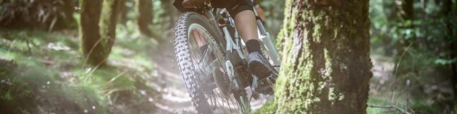 Mountainbike Abfahrt