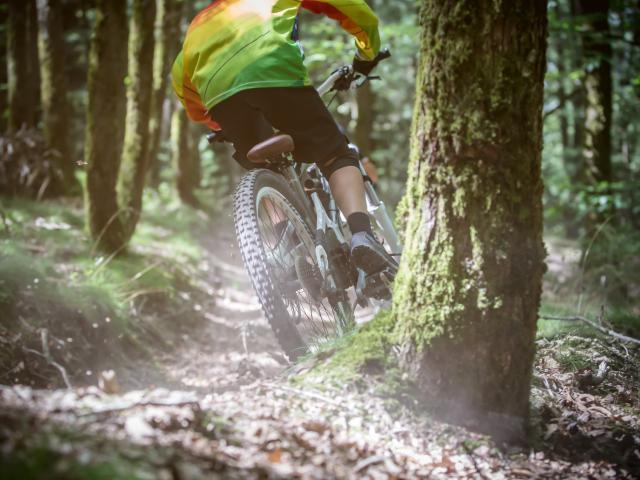 Mountainbike Abfahrt