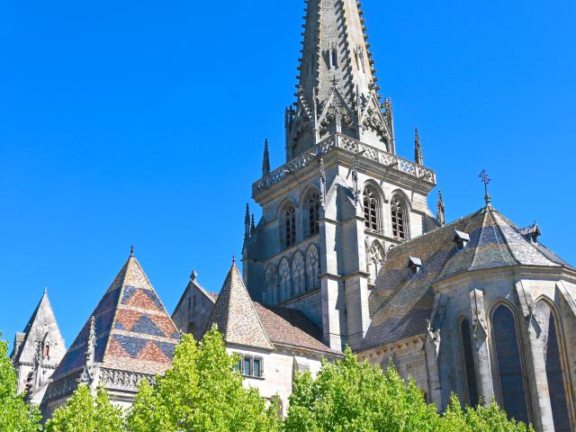 Wivisites Autun Cité Historique, Cathédrale Saint Lazare, Toits De Bourgogne