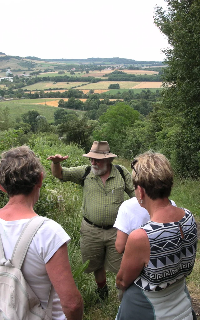 Leisure Activity-Hiking Summer walk