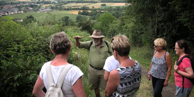 Leisure Activity-Hiking Summer walk