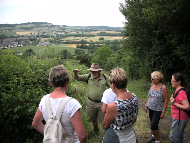 Leisure Activity-Hiking Summer walk