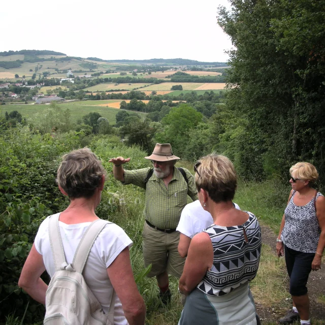 Leisure Activity-Hiking Summer walk