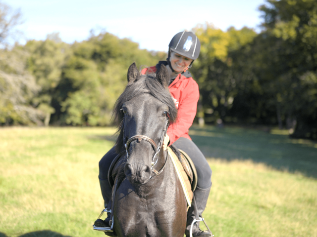 à cheval, en Morvan, au Mont-Beuvray