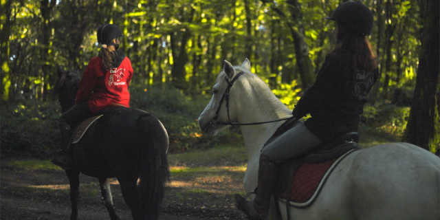 48h à Cheval dans le Morvan, Mont-Beuvray