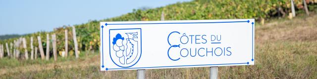 Cotes du Couchois, Route des vins