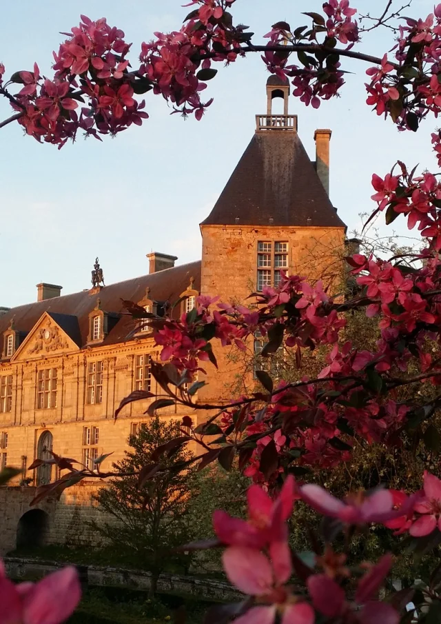 Château de Sully