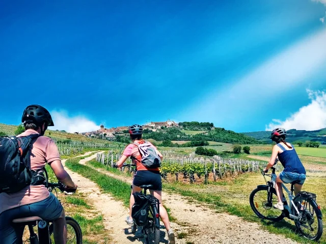 pedalling in the vineyards