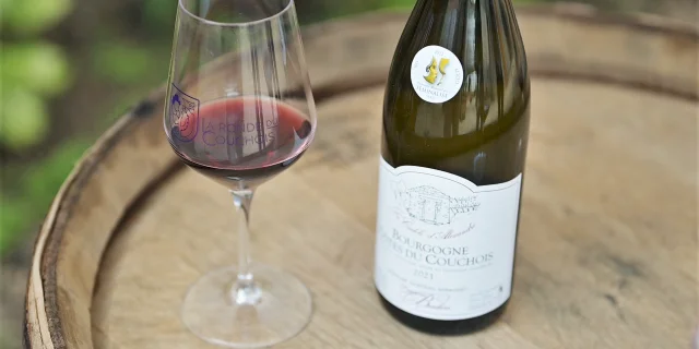 Tasting of Côtes du Couchois wines