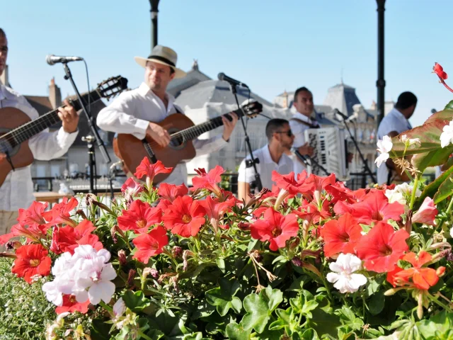 Que faire cette semaine à Autun ?