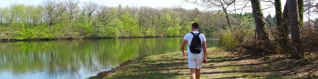 Balade d'été à l'Etang du Martinet à Antully