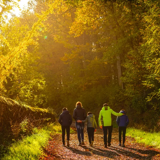 Herbstlicher Familienspaziergang Autunois Morvan