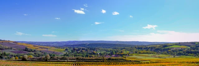 Vignoble Couchois - Grand Autunois Morvan