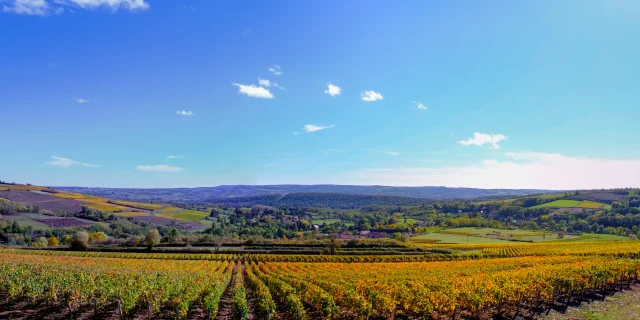 Vignoble Couchois - Grand Autunois Morvan