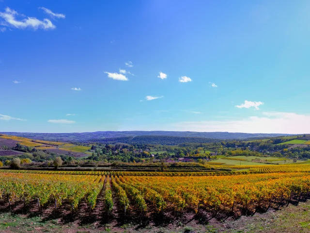 Vignoble Couchois - Grand Autunois Morvan