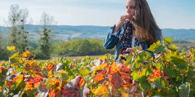 Visiter et bouger en Autunois Morvan