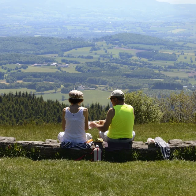 Bekijk Picnic