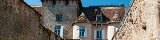 Découvrir le patrimoine du Grand Autunois Morvan Tour Guerin